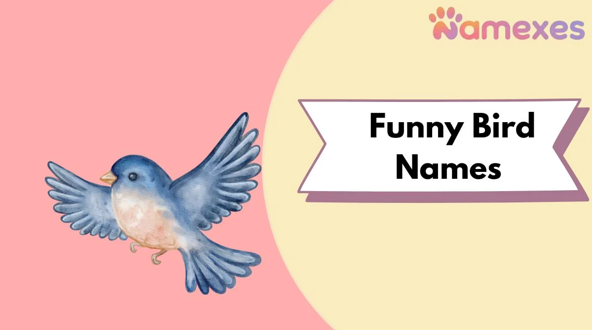 Funny Bird Names