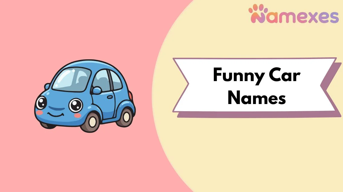 Funny Car Names