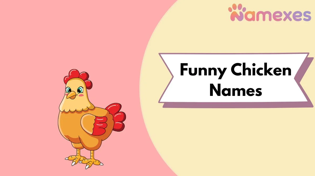 Funny Chicken Names