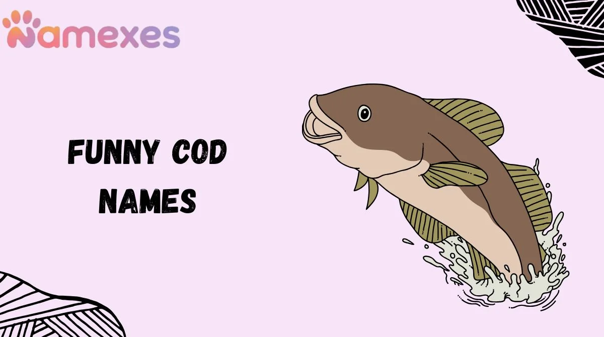 Funny COD Names