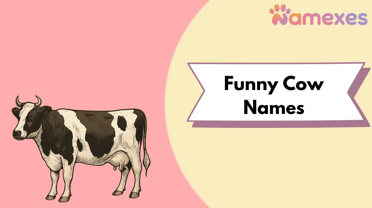 Funny Cow Names