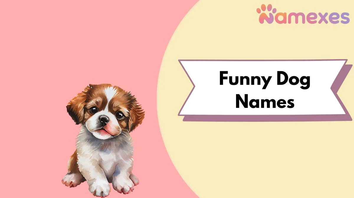 Funny Dog Names