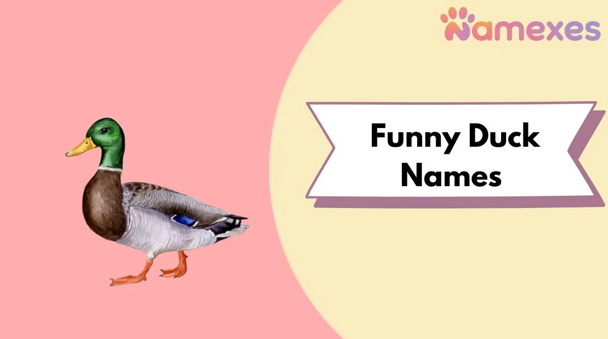 Funny Duck Names