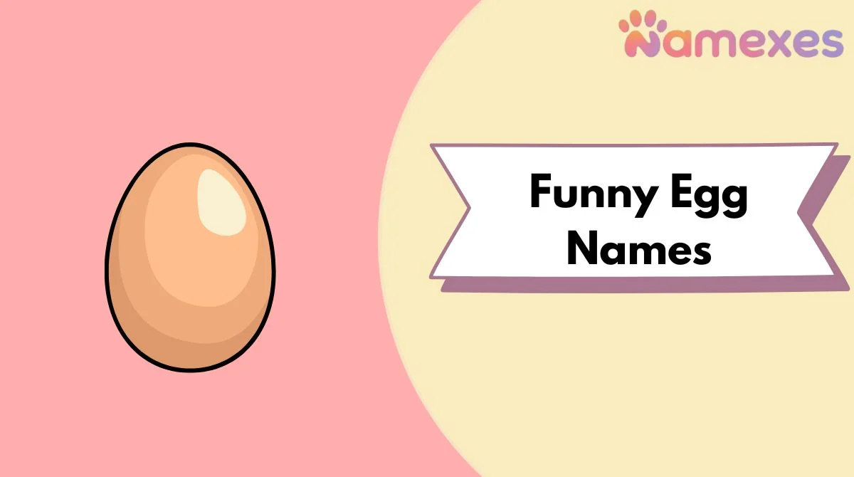 Funny Egg Names