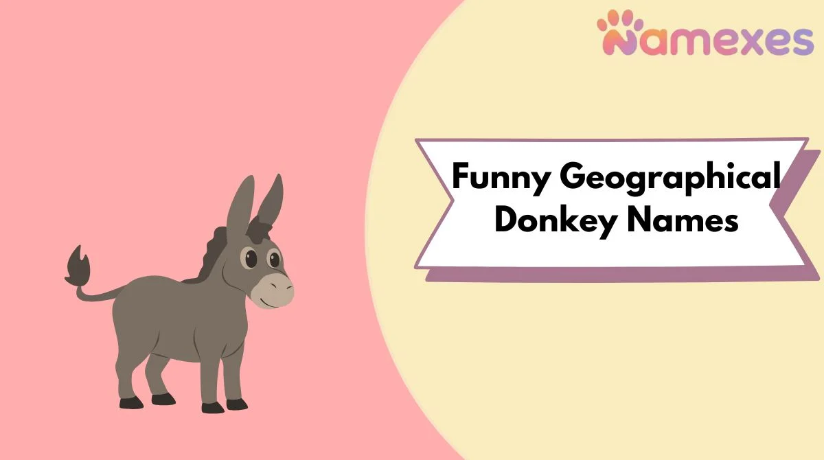 Funny Geographical Donkey Names