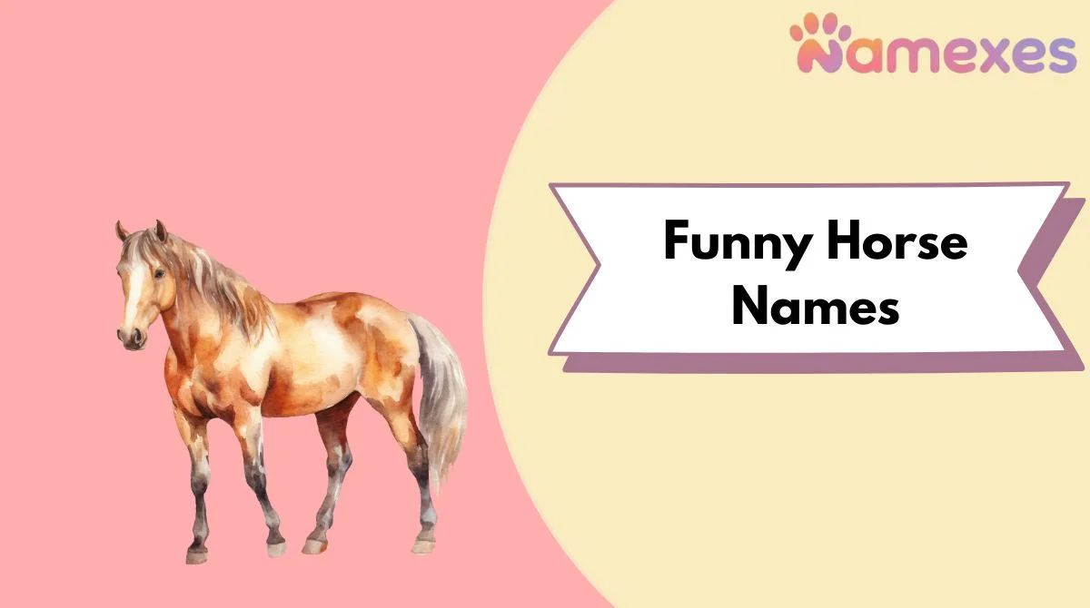 Funny Horse Names