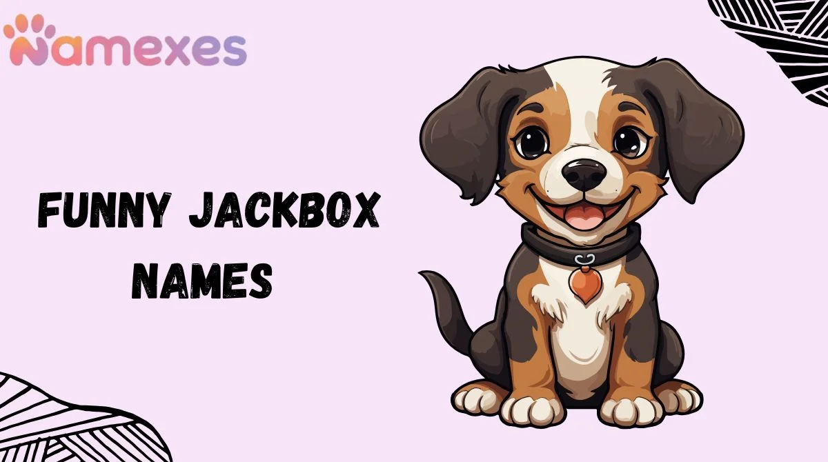 Funny Jackbox Names
