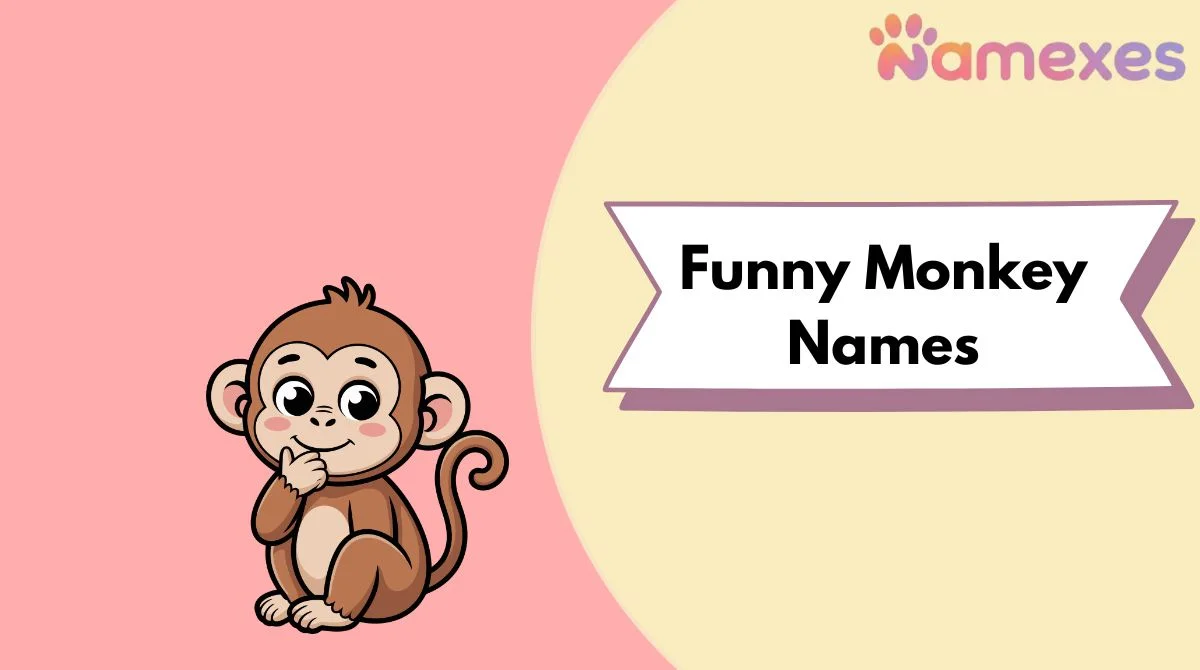 Funny Monkey Names