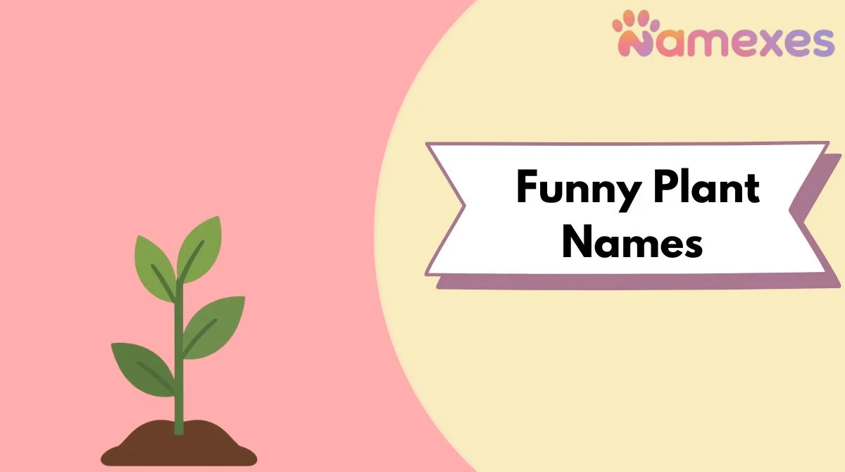 Funny Plant Names