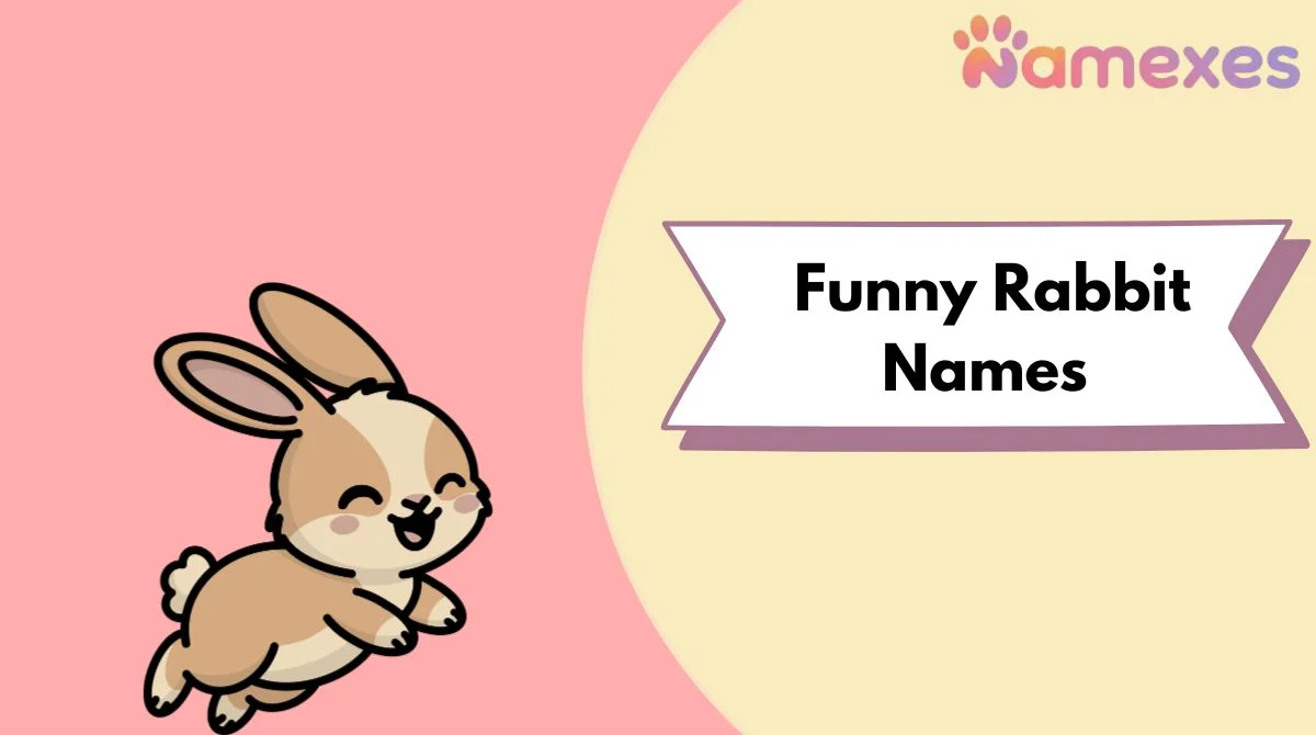 Funny Rabbit Names