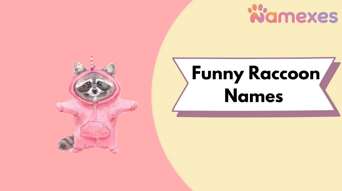 Funny Raccoon Names