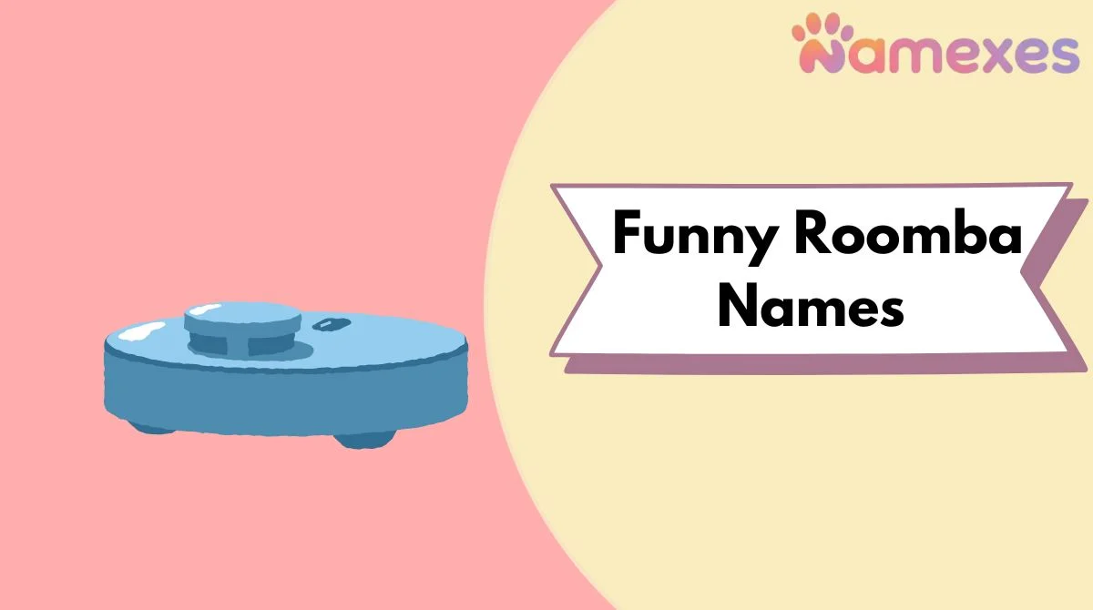 Funny Roomba Names