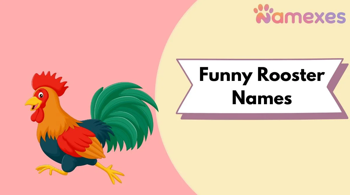 Funny Rooster Names