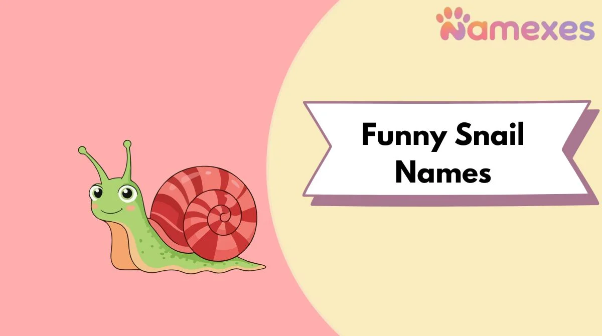 Funny Snail Names