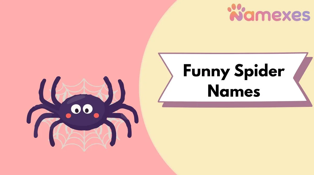 Funny Spider Names