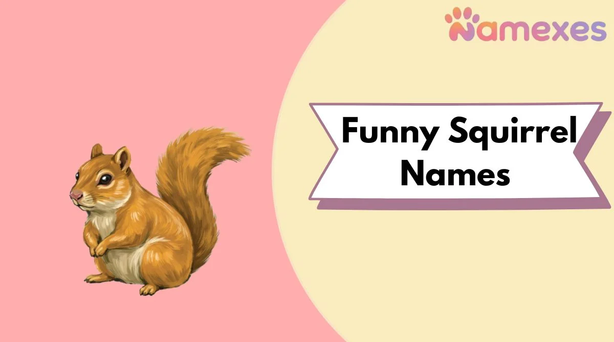 Funny Squirrel Names