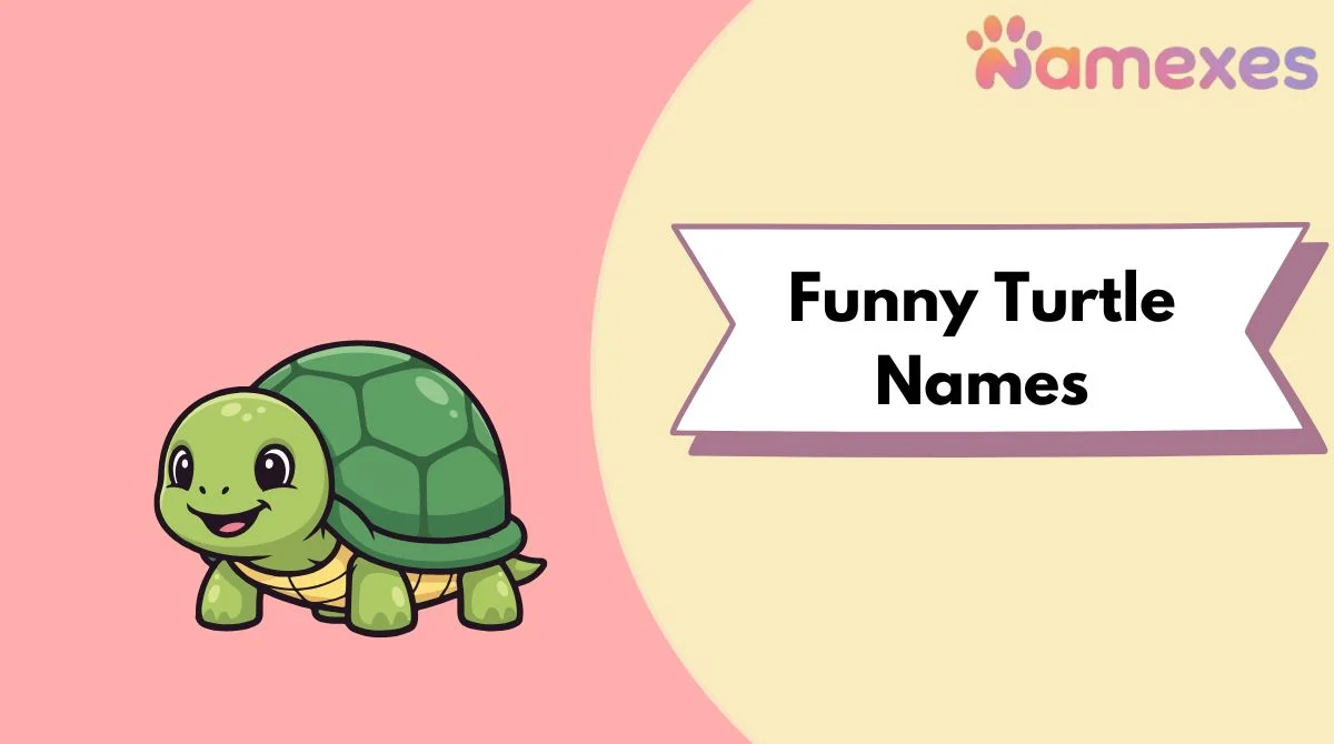 Funny Turtle Names