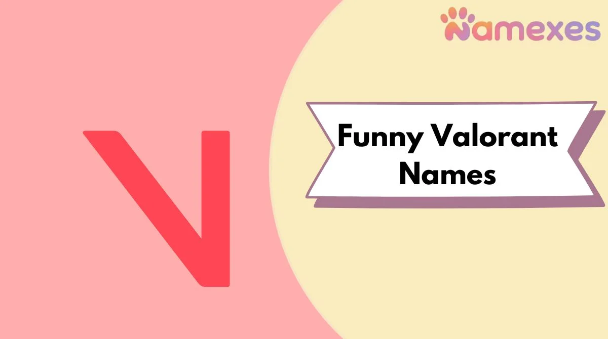 Funny Valorant Names