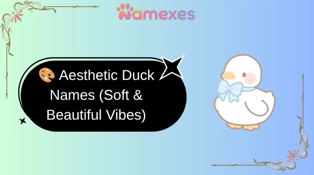 🎨 Aesthetic Duck Names (Soft & Beautiful Vibes)