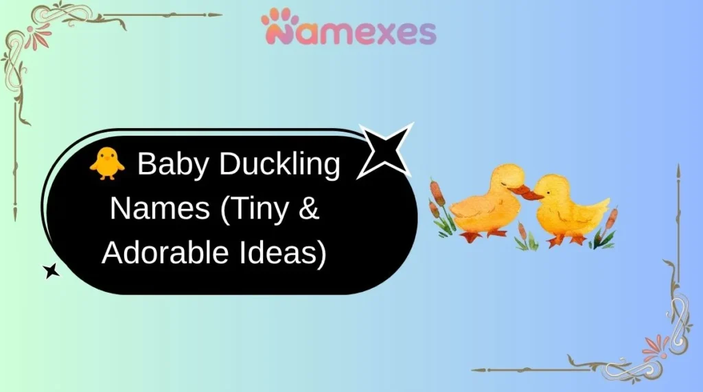 🐥 Baby Duckling Names (Tiny & Adorable Ideas)