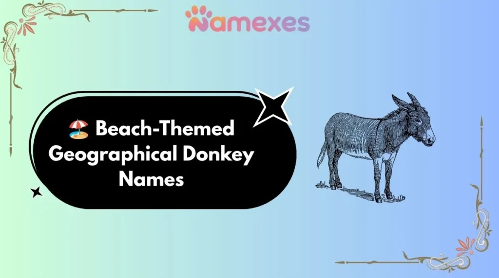 ποΈ Beach-Themed Geographical Donkey Names