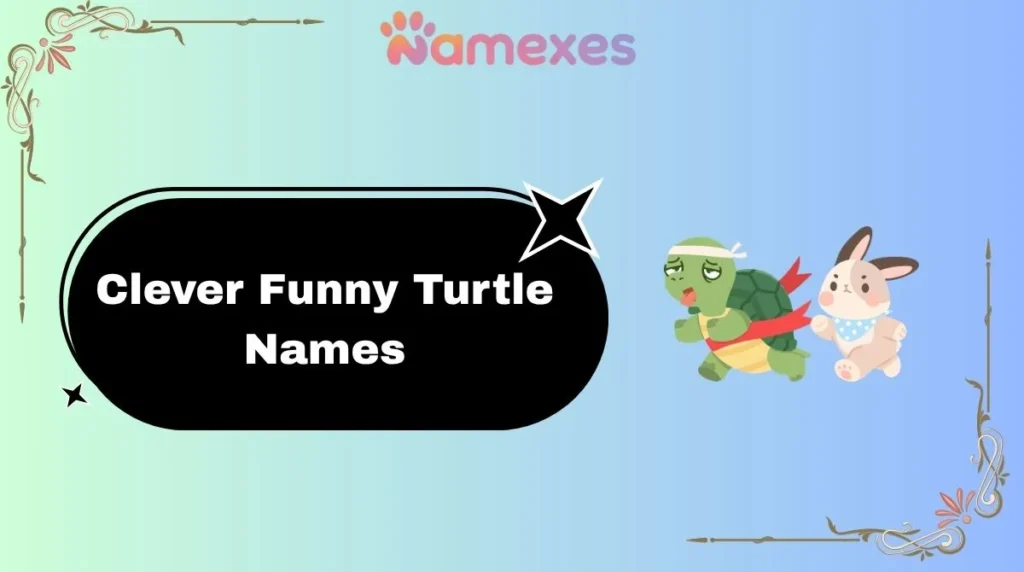 Clever Funny Turtle Names