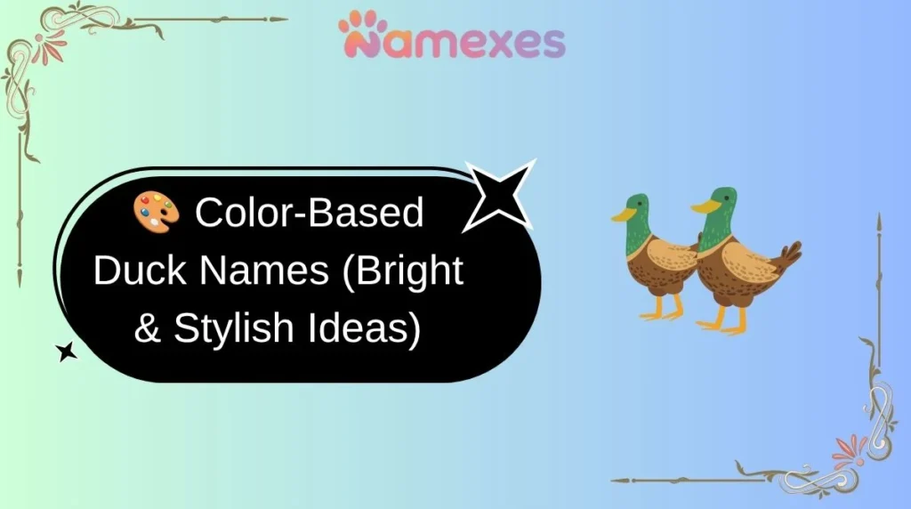 🎨 Color-Based Duck Names (Bright & Stylish Ideas)