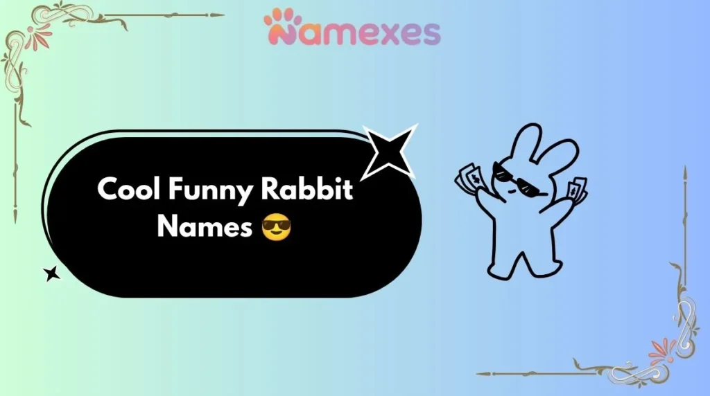Cool Funny Rabbit Names 😎