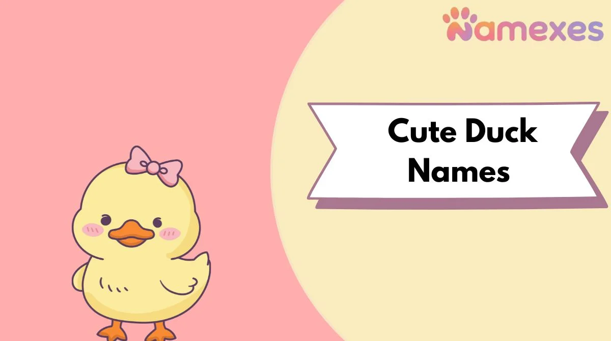 Cute Duck Names