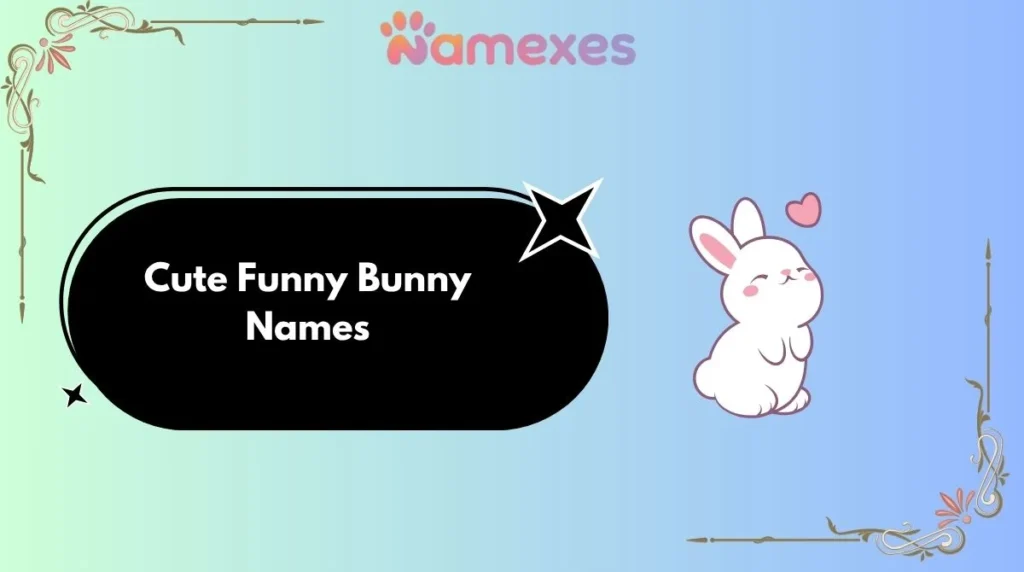 Cute Funny Bunny Names