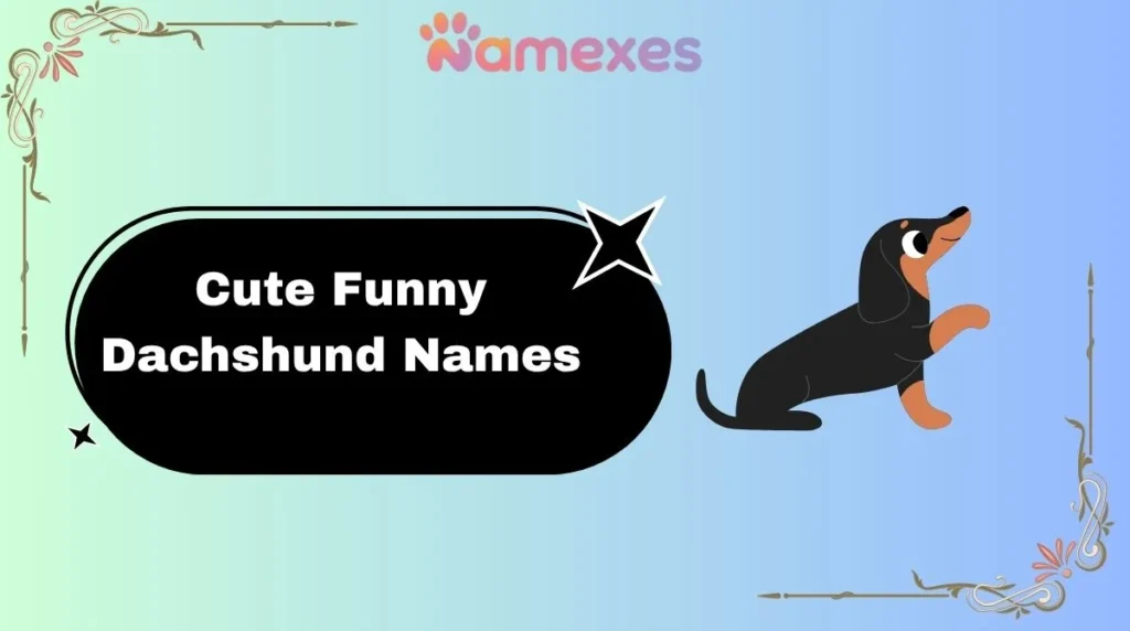 Cute Funny Dachshund Names