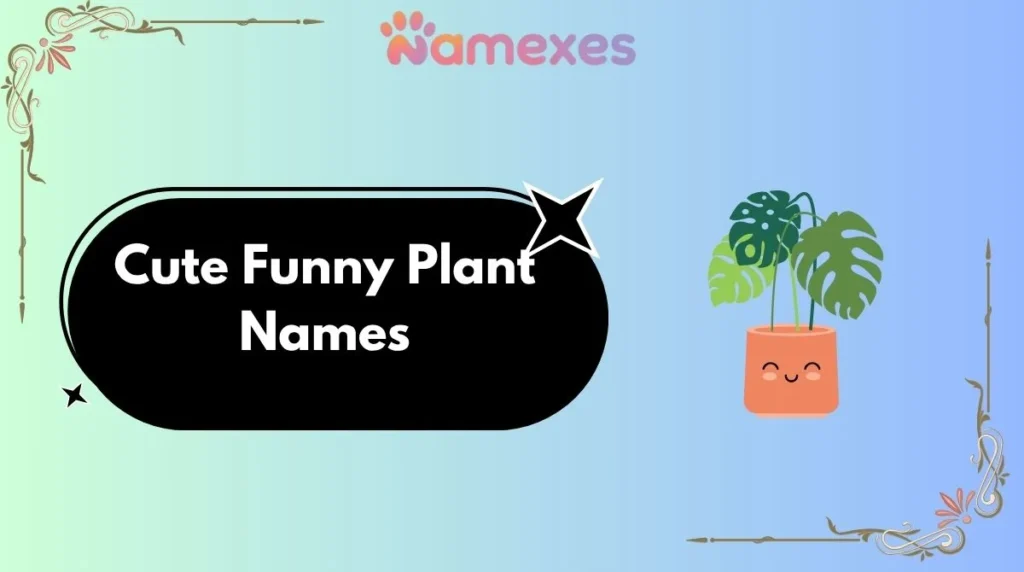 Cute Funny Plant Names