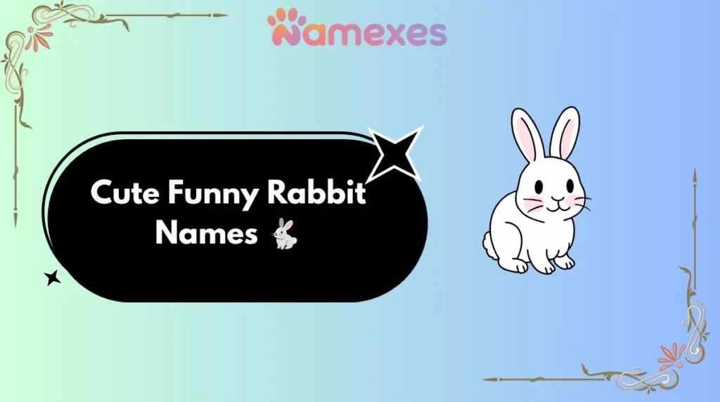 Cute Funny Rabbit Names 🐇