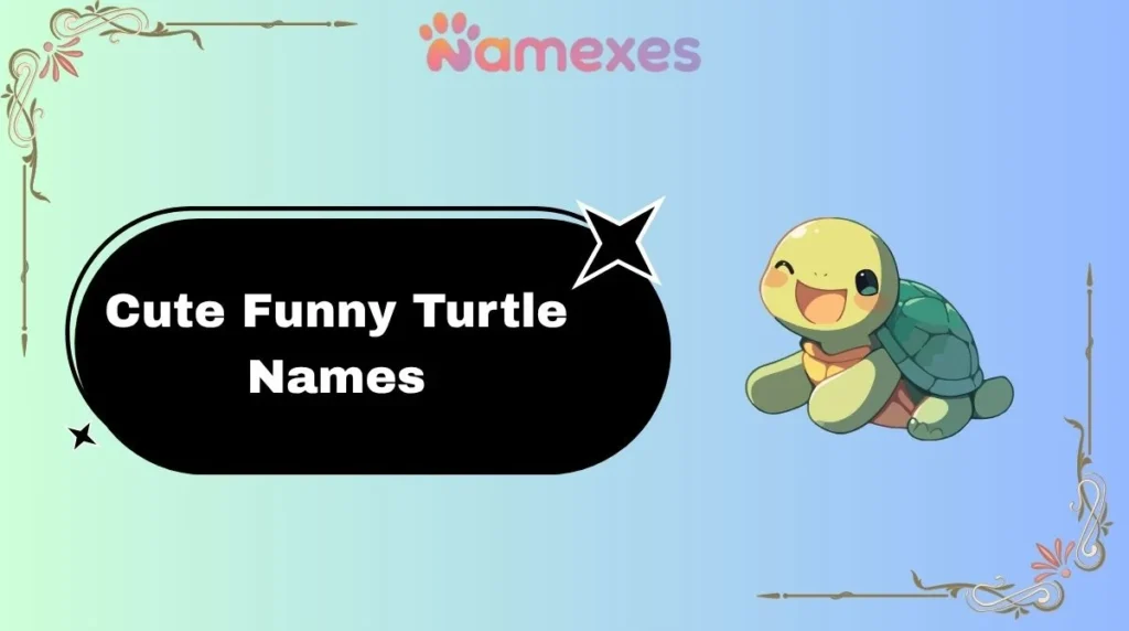 Cute Funny Turtle Names