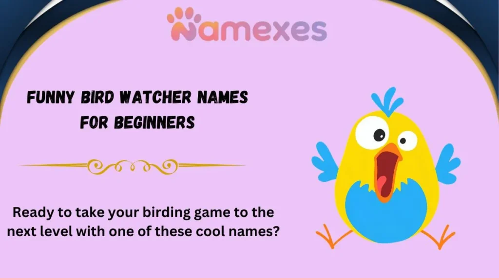 Funny Bird Watcher Names for Beginners