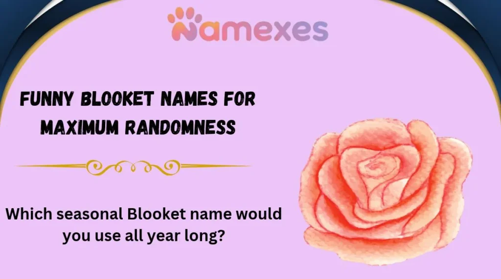 Funny Blooket Names for Maximum Randomness