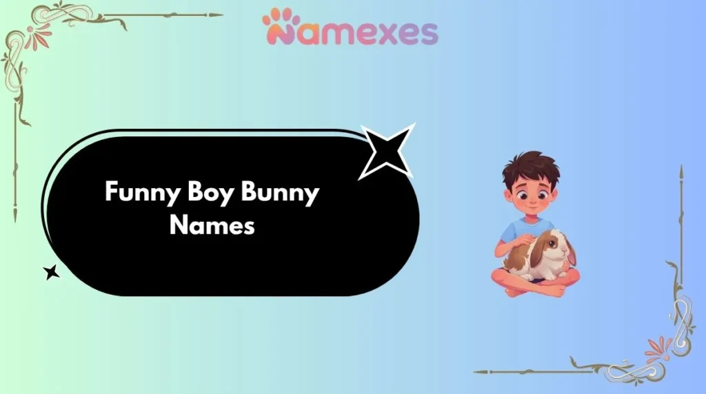 Funny Boy Bunny Names