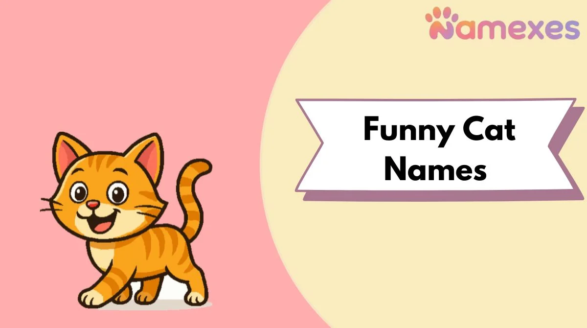 Funny Cat Names