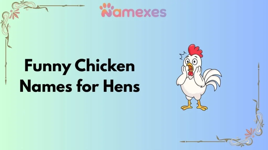 Funny Chicken Names for Hens