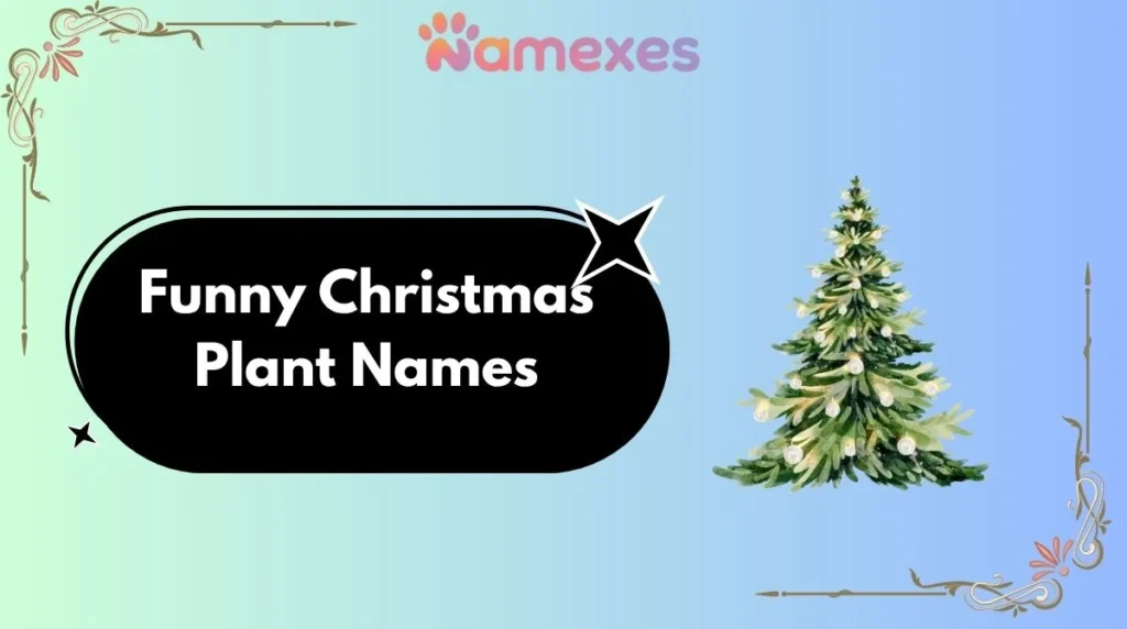 Funny Christmas Plant Names