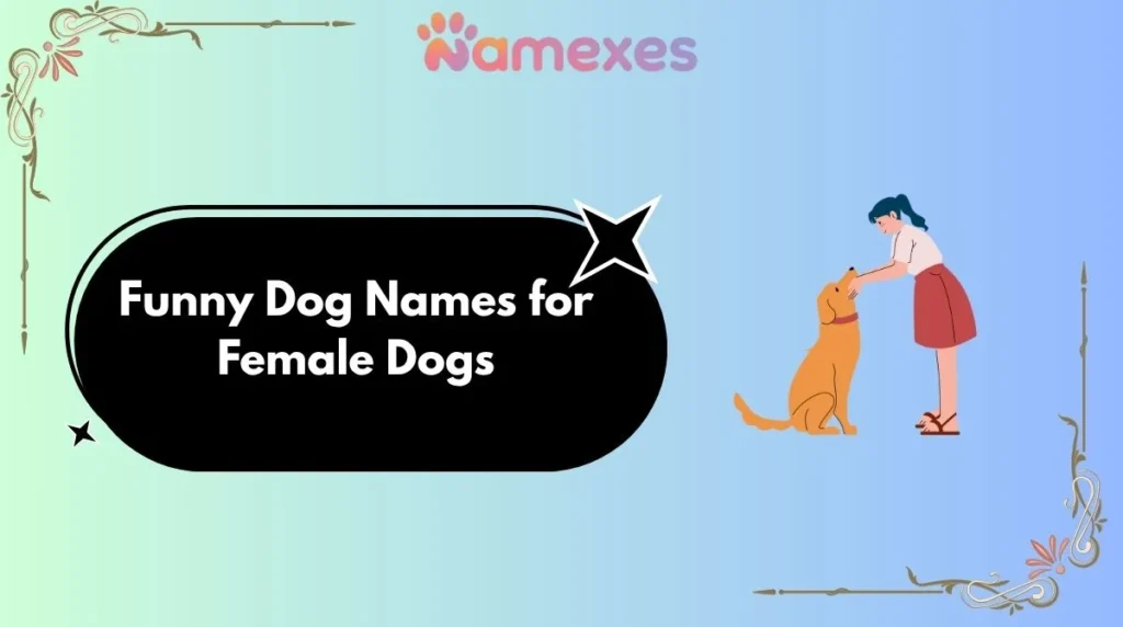 Funny Dog Names for Female Dogs