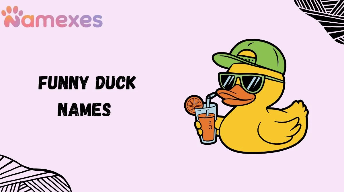 Funny Duck Names