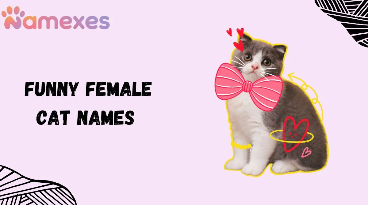 Funny Female Cat Names