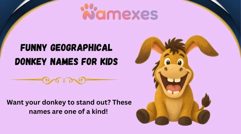 Funny Geographical Donkey Names for Kids