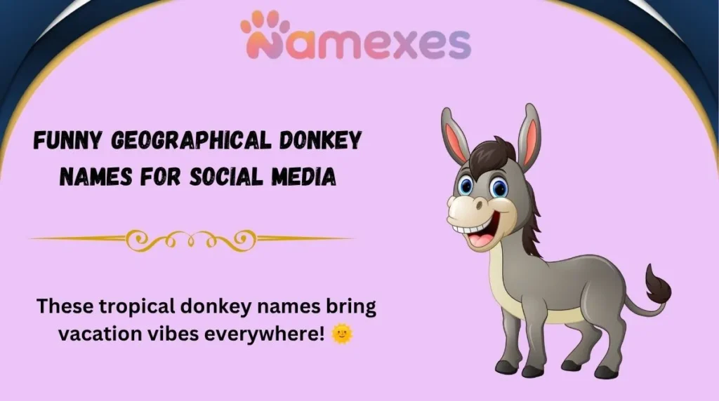 Funny Geographical Donkey Names for Social Media