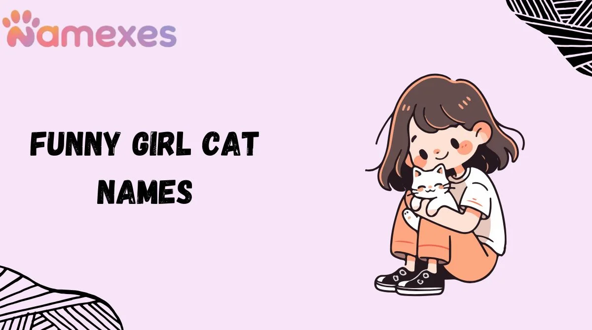 Funny Girl Cat Names