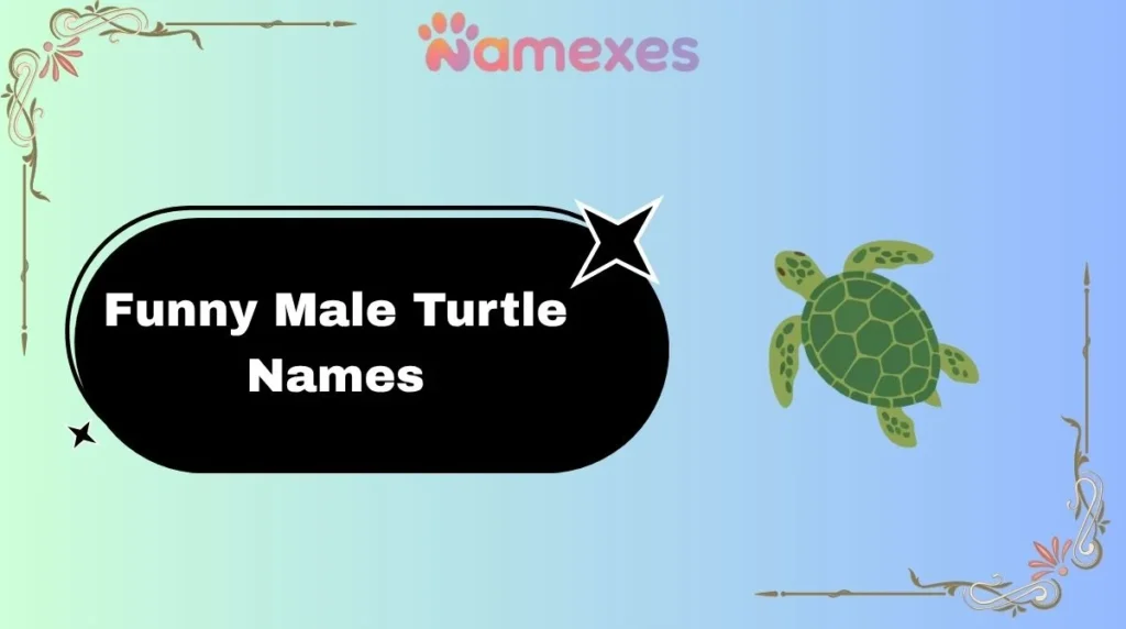 Funny Male Turtle Names