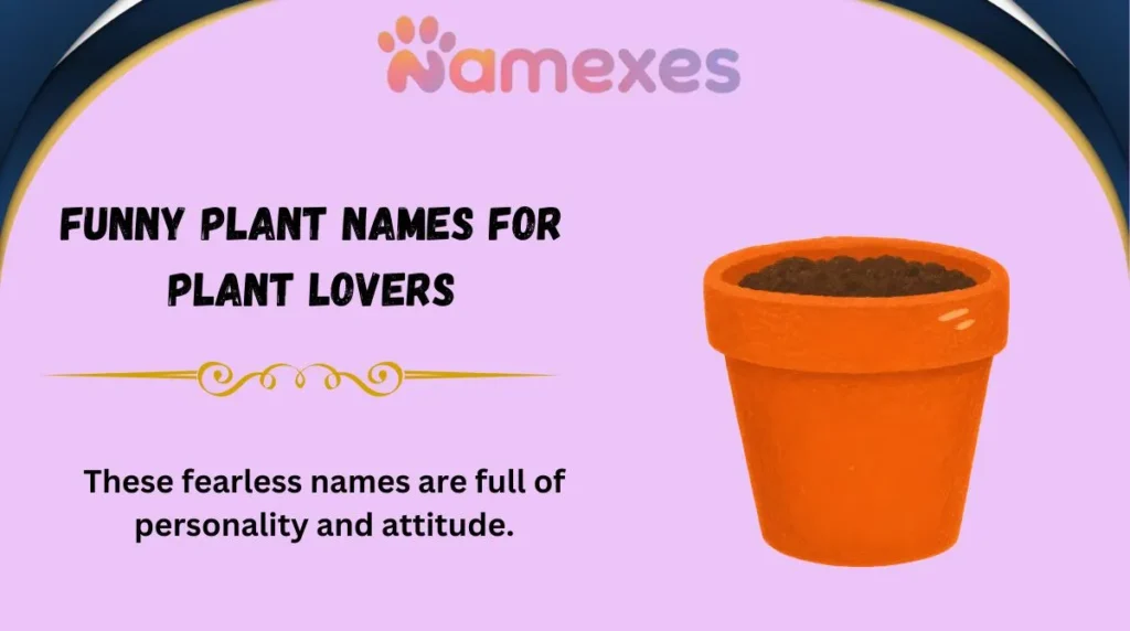 Funny Plant Names for Plant Lovers