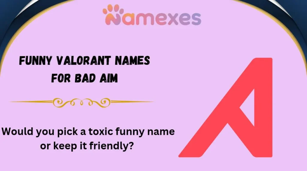 Funny Valorant Names for Bad Aim