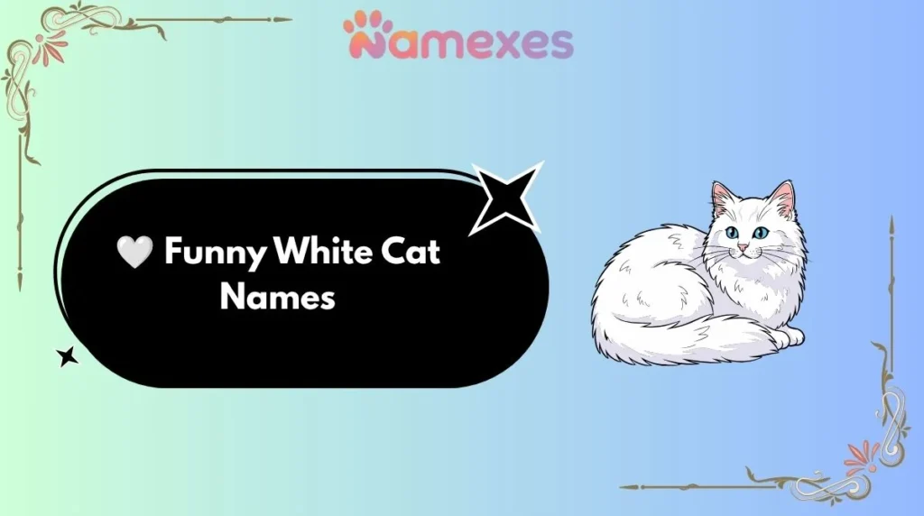 🤍 Funny White Cat Names
